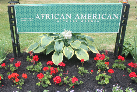 Flowers in African-American Garden
