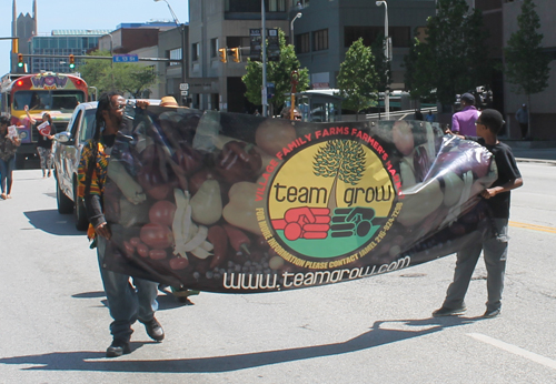 Cleveland Umoja Parade