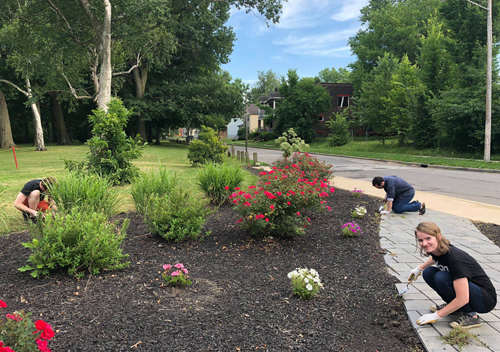 Jewish and African American volunteers work together in the African American Cultural Garden