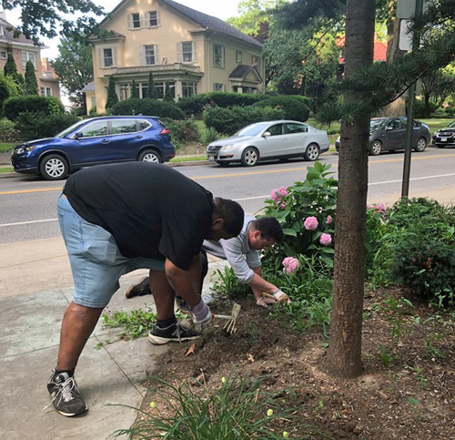 Jewish and African American volunteers work together in the Hebrew Cultural Garden