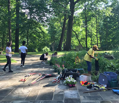 Jewish and African American volunteers work together in the Hebrew Cultural Garden