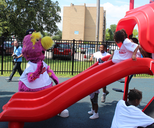 Larry Doby Park playground - Slider