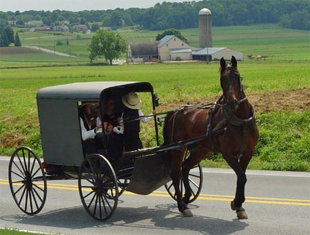 Amish carriage in Lancaster County, Pennsylvania