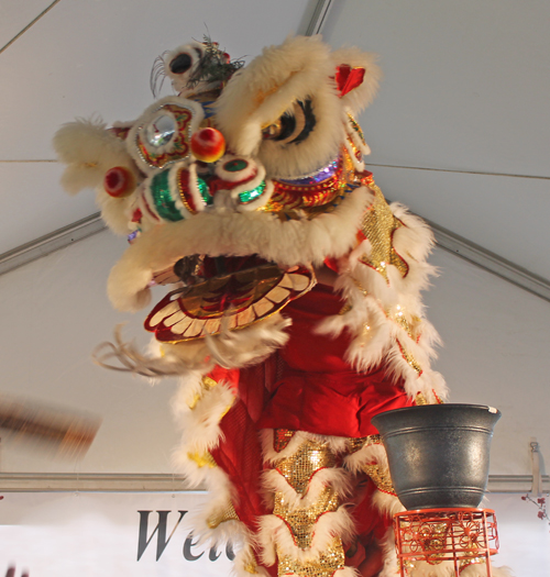 Kwan Family Lion Dance Team