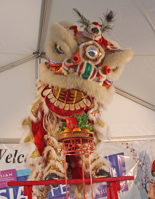  Kwan Family Lion Dance