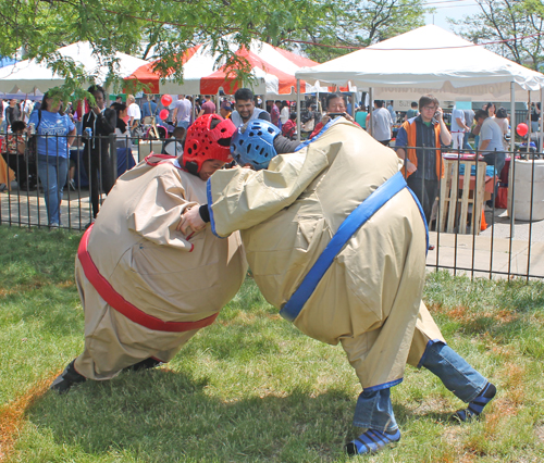 Sumo Wrestling fun