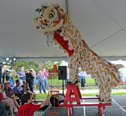 Kwan Family Lion Dance 