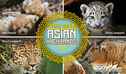 Asian Highlands now open