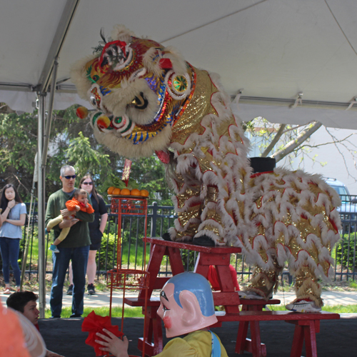 Kwan Family Lion Dance Team