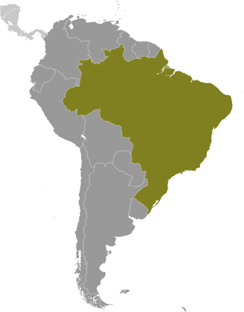 Map of Brazil in South America