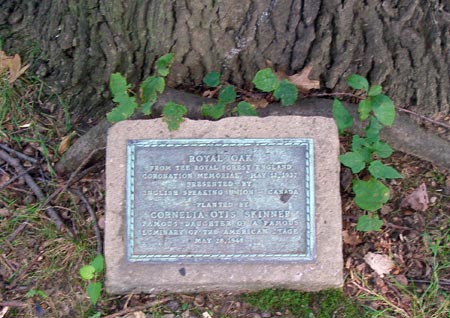 English Royal Oak in British Cultural Garden in Cleveland Ohio (photo by Dan Hanson) aka Shakespeare Garden