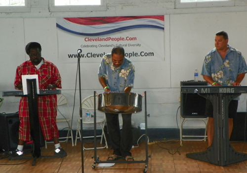 Island Flava Steel Drums