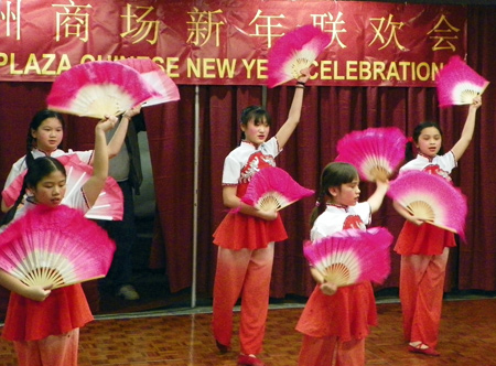 Young Chinese Acrobats