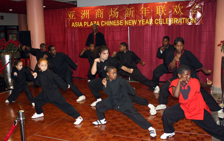 Chinese Shaolin Kungfu (Master T'Shaka Brown)