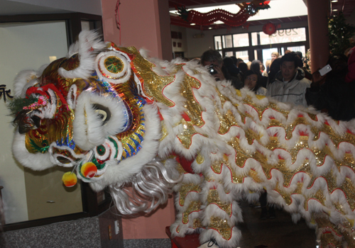 Kwan Family Lion Dance