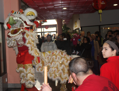 Kwan Family Lion Dance