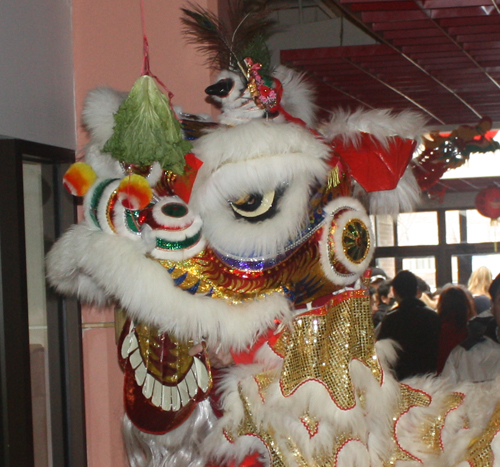 Kwan Family Lion Dance