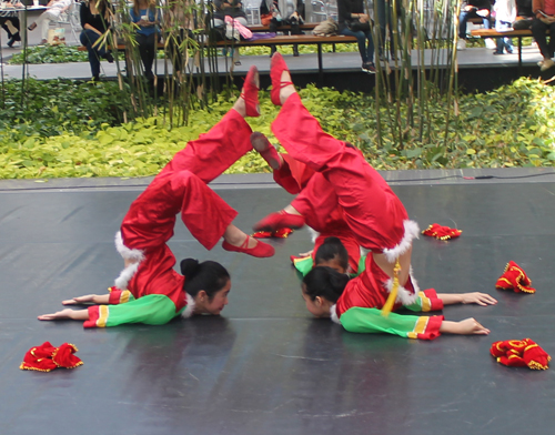 Cleveland Contemporary Chinese Culture Association (CCCCA)  dancers