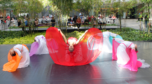 Cleveland Contemporary Chinese Culture Association (CCCCA)  dancers