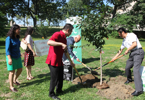 Annual planting of trees to honor our teachers in Chinese Ciultural Garden