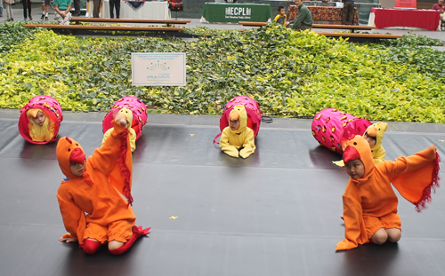 young girls and boys from the Cleveland Contemporary Chinese Culture Association (CCCCA) danced dressed as chickens