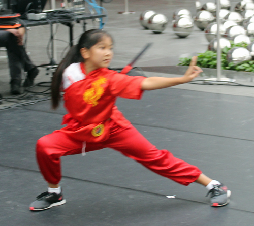 Great Wall Martial Arts demo at Cleveland Museum of Art