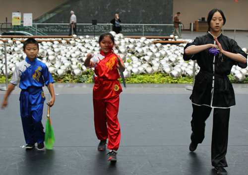 Great Wall Martial Arts demo at Cleveland Museum of Art