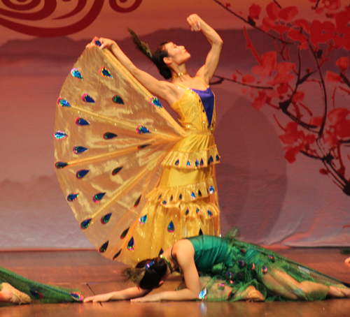 Dancers from LingYun Rising Star Dance School performed the Forest Peacock Dance