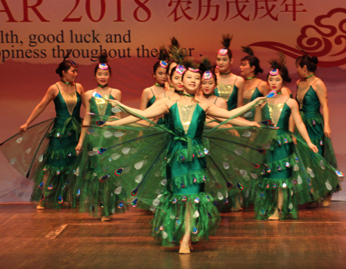 Dancers from LingYun Rising Star Dance School performed the Forest Peacock Dance