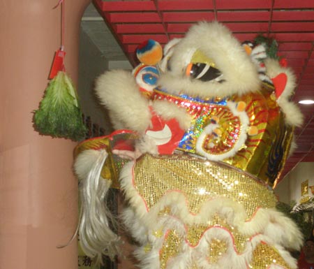 Chinese Lion Dance - Lion eats lettuce for luck