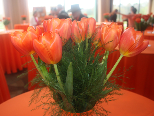 Orange tulips for King's Day
