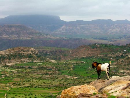 Ethiopian Highlands with Ras Dashan in the background.  Photo by Giustino