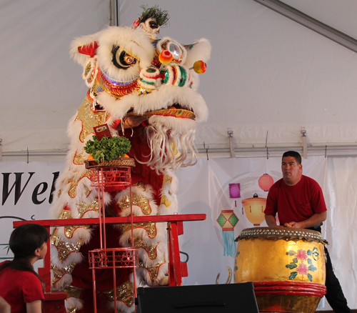 Kwan Family Lion Dance Team at Cleveland Asian Festival