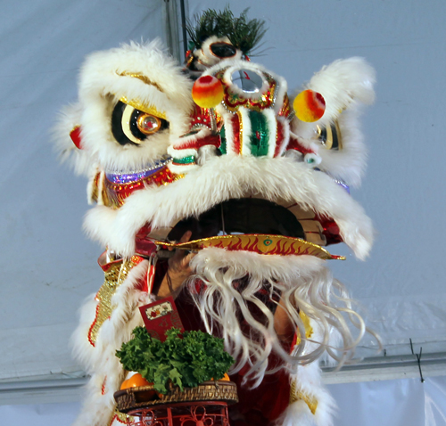 Kwan Family Lion Dance Team at Cleveland Asian Festival