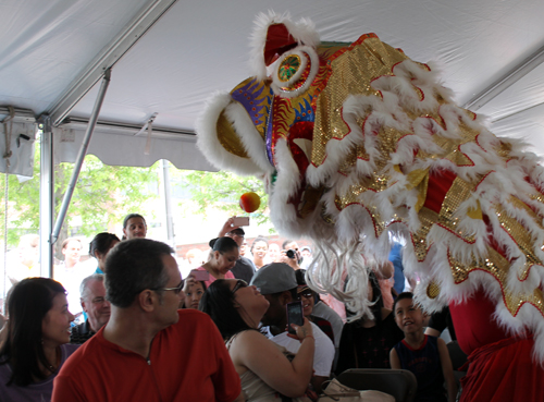 Kwan Family Lion Dance Team at Cleveland Asian Festival