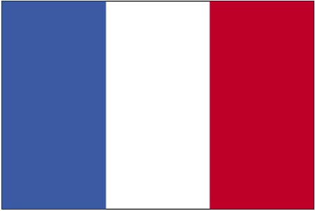 flag of france picture. Flag of France Bienvenue