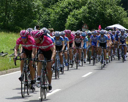 The Peloton of the Tour de France 2005