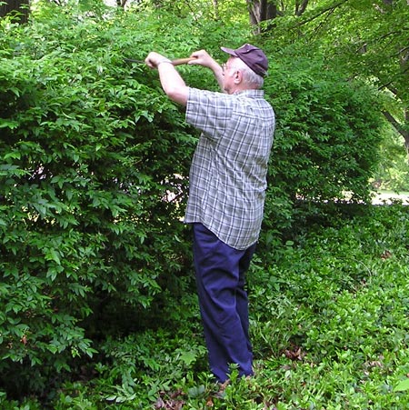 Carl Schmeltzer - German Cultural Garden volunteers (photos by Dan Hanson)