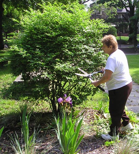 Maria Geiser - German Cultural Garden volunteers (photos by Dan Hanson)