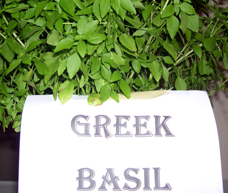 Greek basil at at Greek Fest in Cleveland