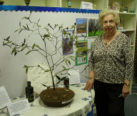 Olive tree from Greece at 2008 SS Constantine & Helen Greek Orthodox Cathedral Festival  (photos by Dan Hanson)