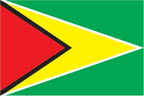 Flag of Guyana
