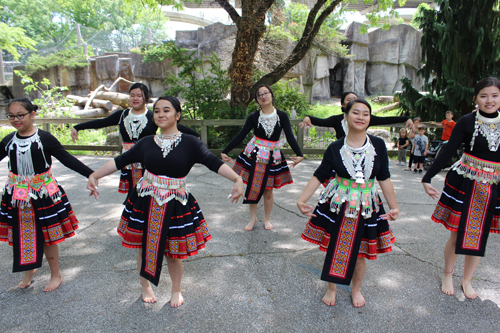 Paj Tawg Tshiab (blooming flower) traditional Hmong dance group  at Cleveland Metroparks Zoo