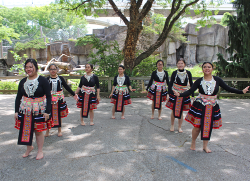 Paj Tawg Tshiab (blooming flower) traditional Hmong dance group  at Cleveland Metroparks Zoo