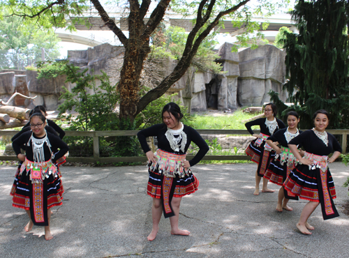 Paj Tawg Tshiab (blooming flower) traditional Hmong dance group  at Cleveland Metroparks Zoo