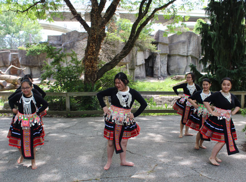 Paj Tawg Tshiab (blooming flower) traditional Hmong dance group  at Cleveland Metroparks Zoo