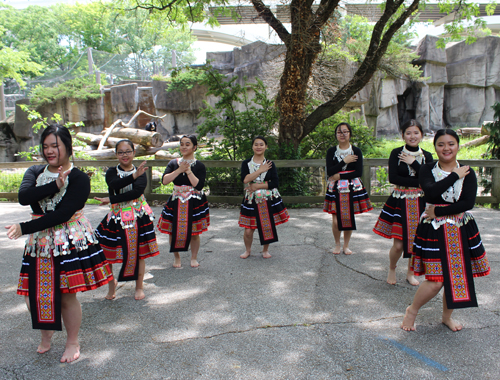 Paj Tawg Tshiab (blooming flower) traditional Hmong dance group  at Cleveland Metroparks Zoo