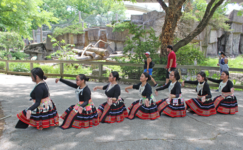 Paj Tawg Tshiab (blooming flower) traditional Hmong dance group  at Cleveland Metroparks Zoo