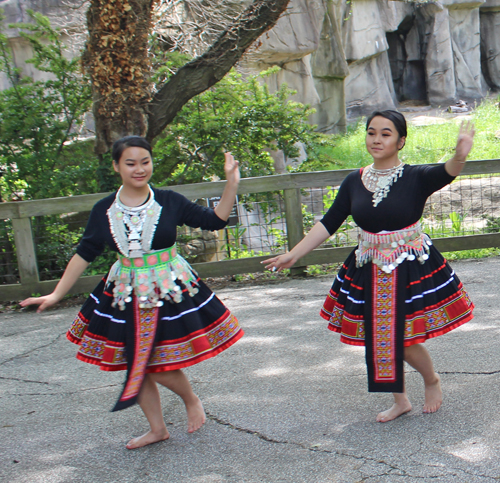 Paj Tawg Tshiab (blooming flower) traditional Hmong dance group  at Cleveland Metroparks Zoo