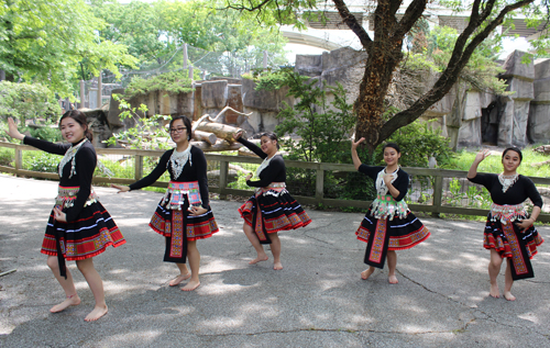 Paj Tawg Tshiab (blooming flower) traditional Hmong dance group  at Cleveland Metroparks Zoo